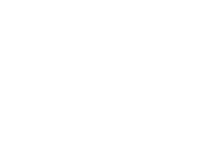 Franu Rey
